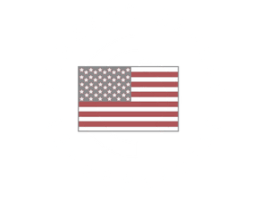 Command Access logo